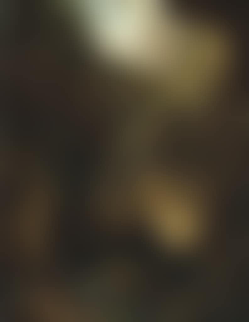 Soldiers by a waterfall in a wooded landscape (preview)