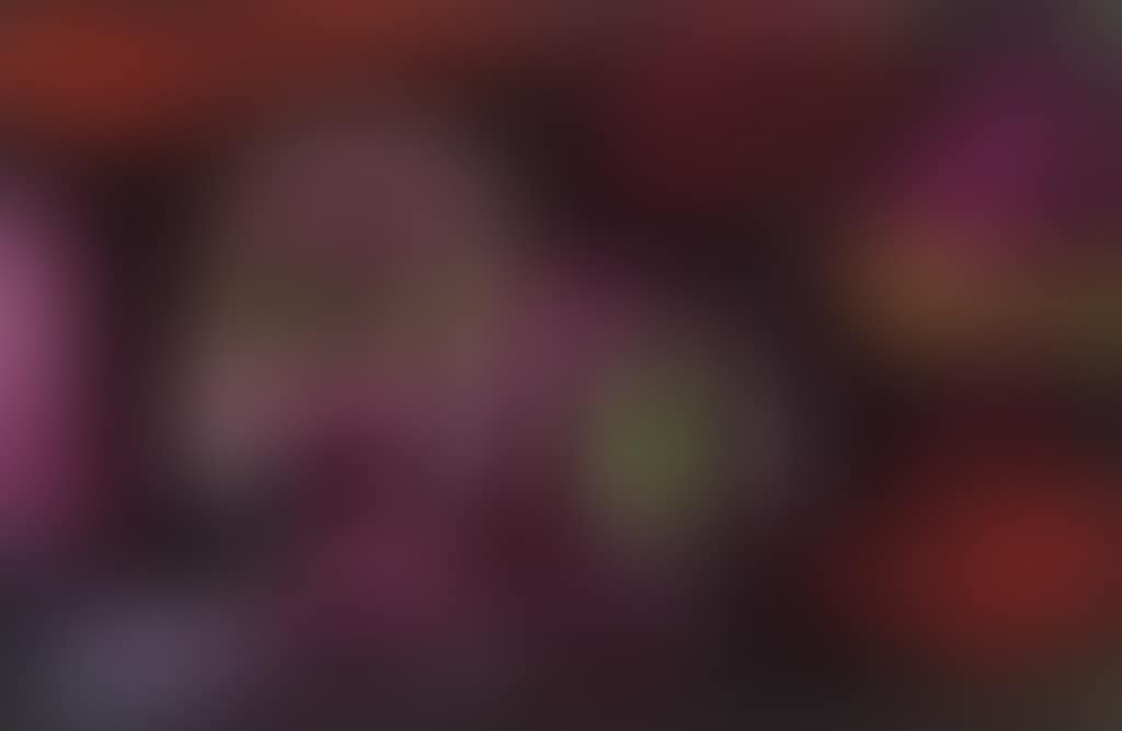 Schicksal zweier Schwestern (preview)
