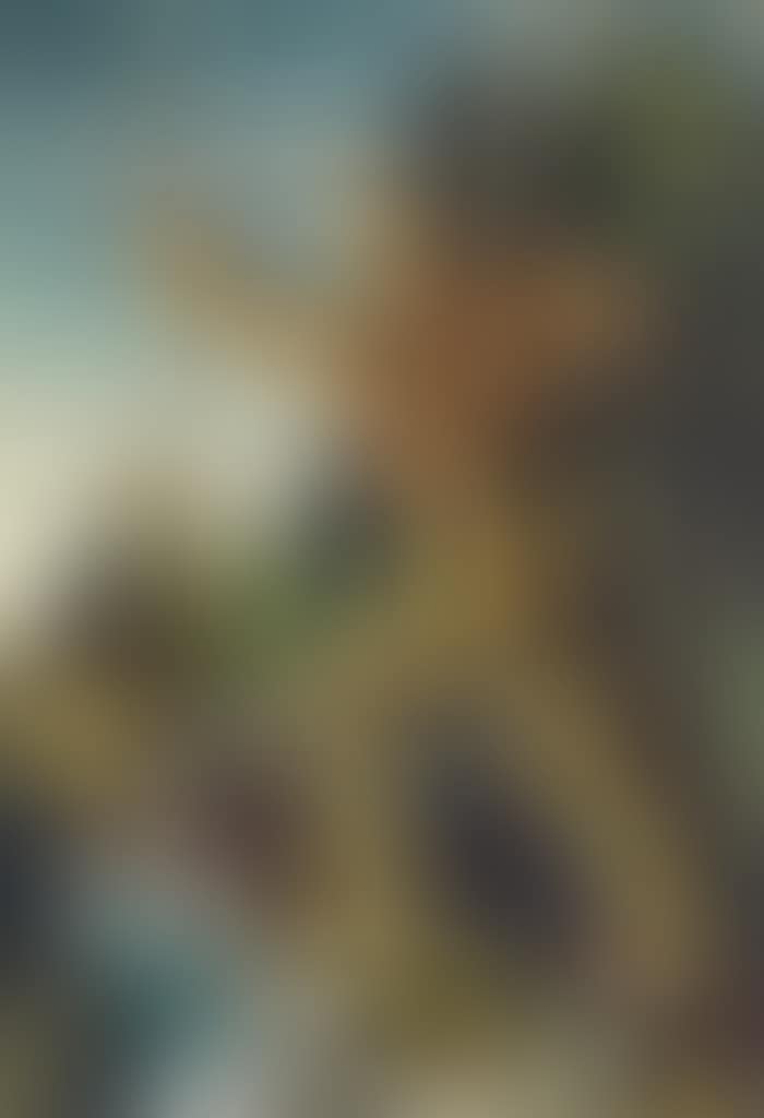 Indian (preview)