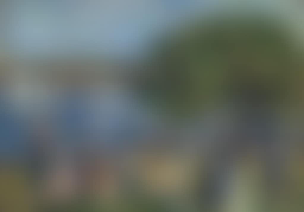 Buck's Harbor (preview)