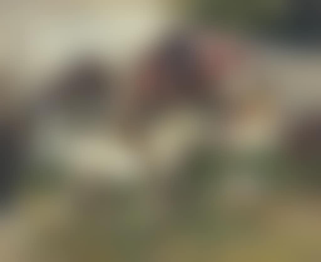 The Norwich Fair (preview)