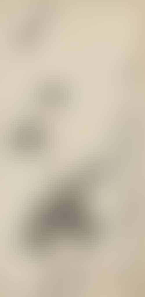 Bamboo (preview)