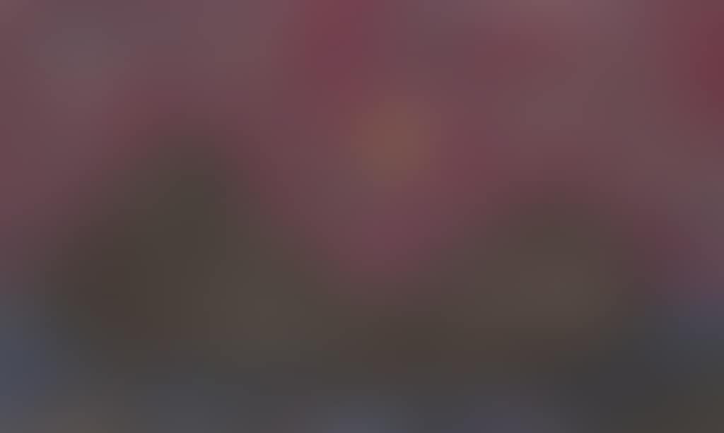 Paisaje (preview)