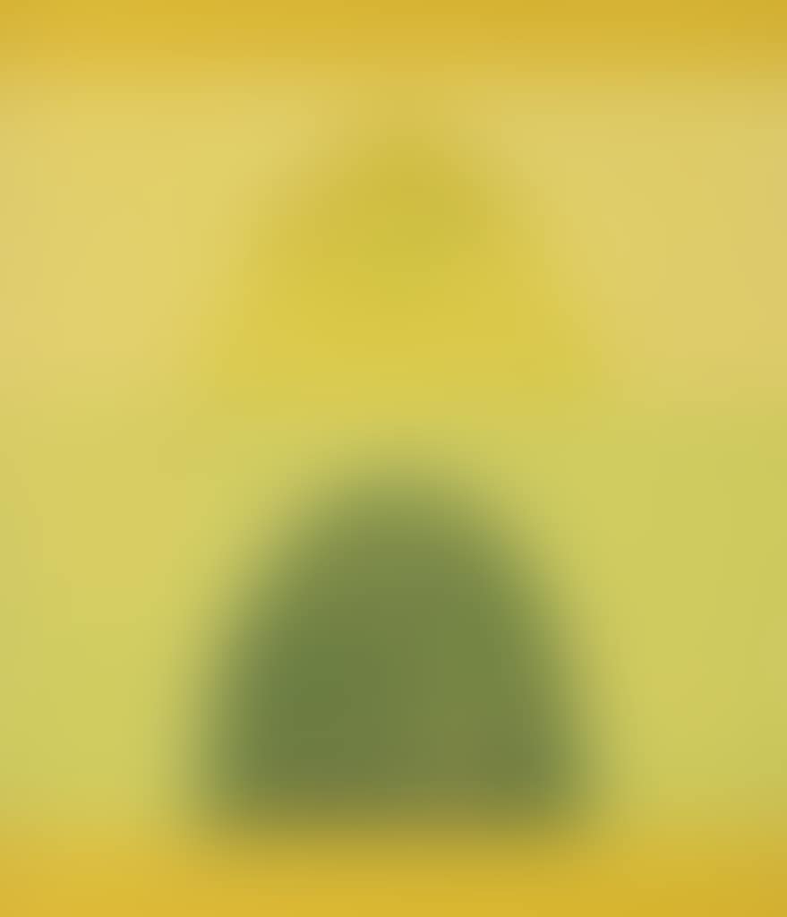 Untitled (Bird, Tree and Mountain Series) (preview)