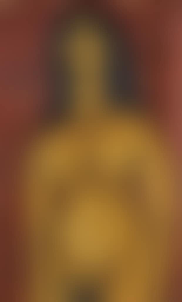 Untitled (Nude Standing in Front of Brocade) (preview)