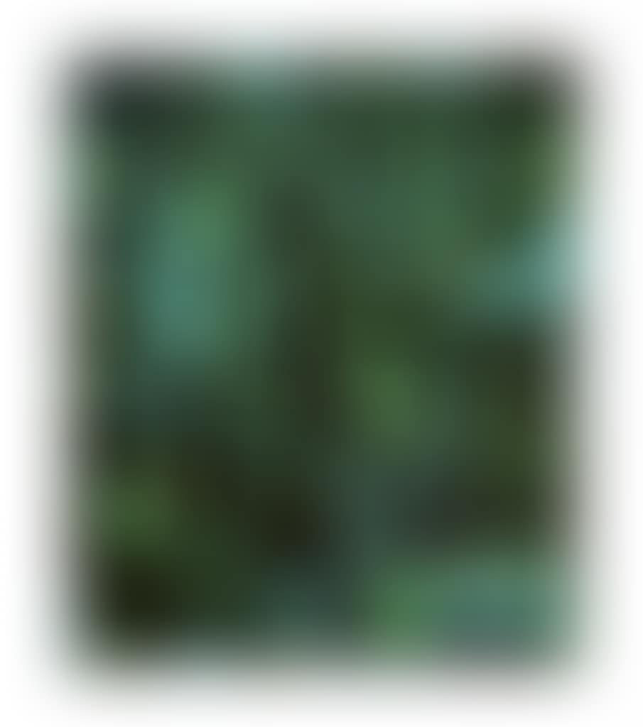 Crowd (preview)