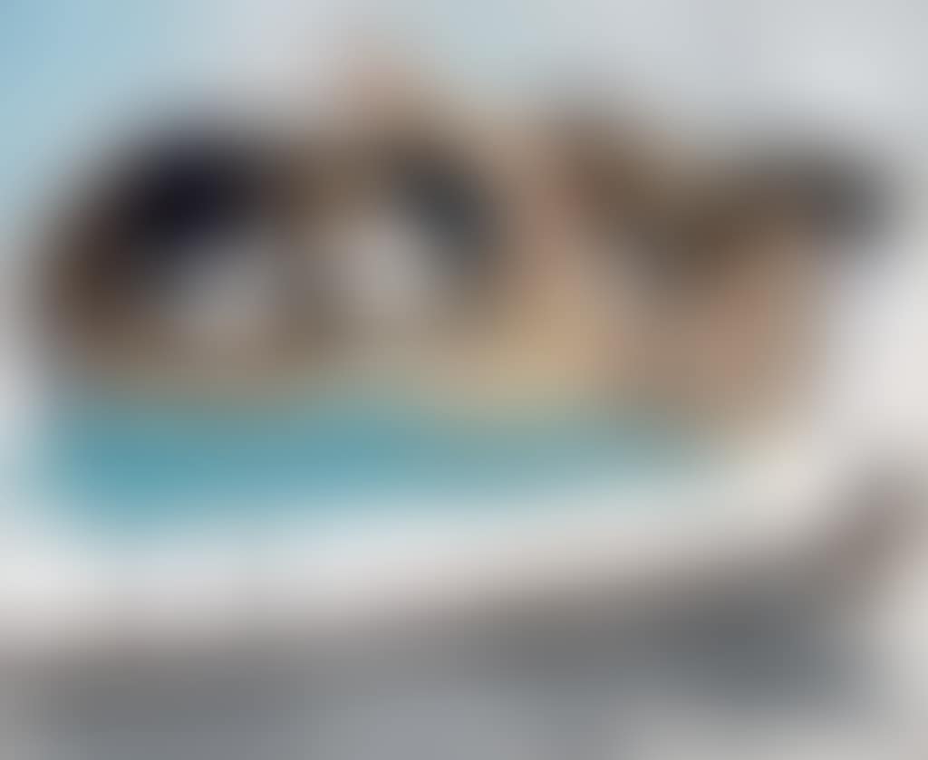 What Can I Say? (preview)