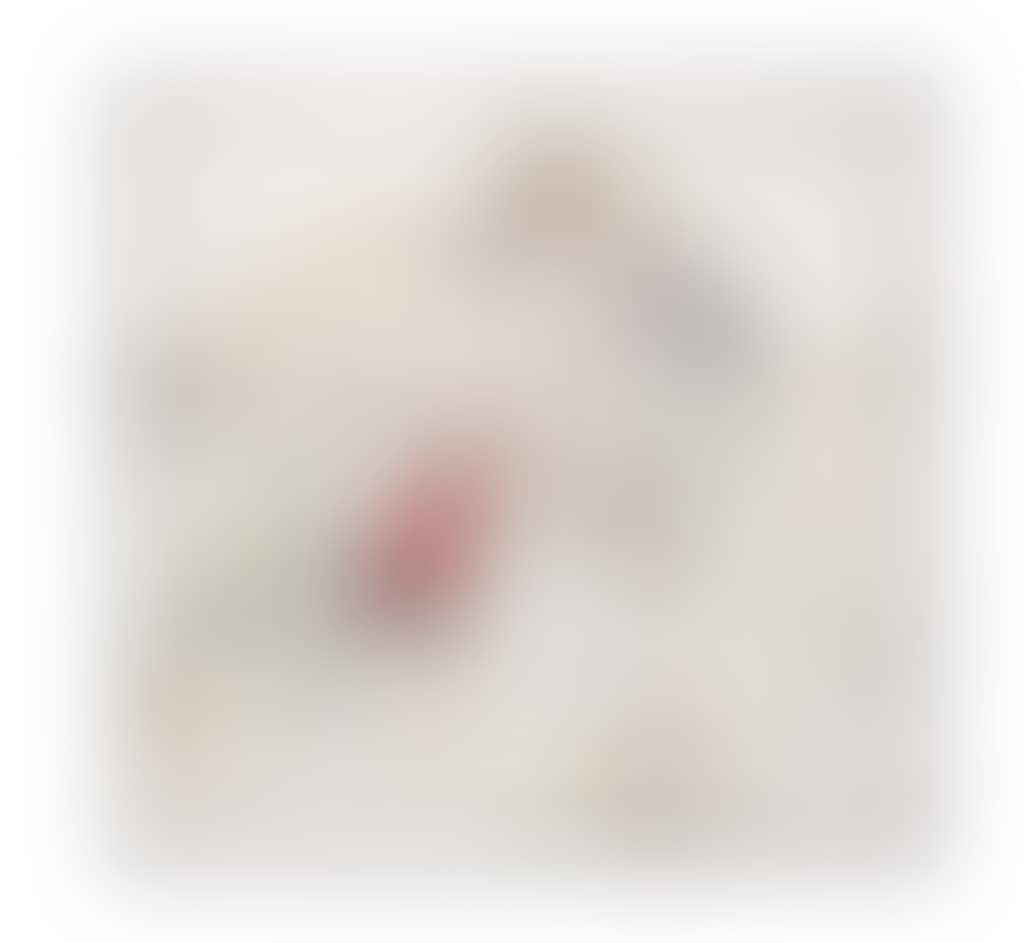 Leda and the Swan (preview)