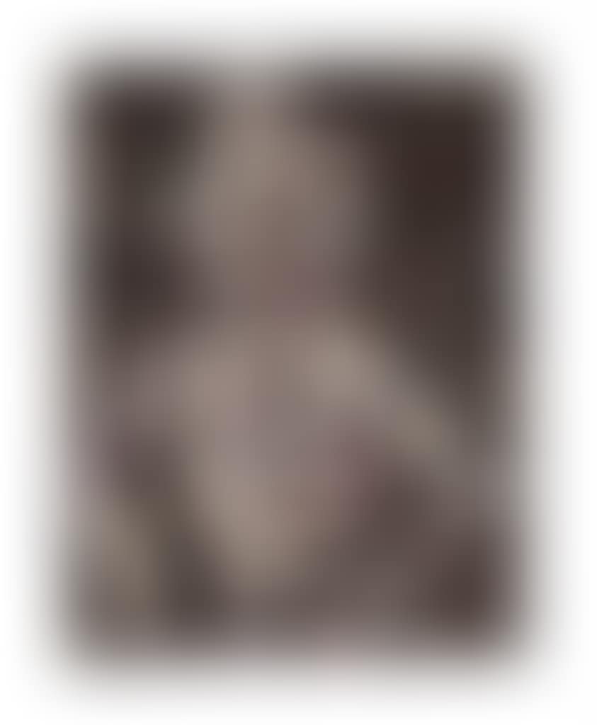 Le Truand (preview)
