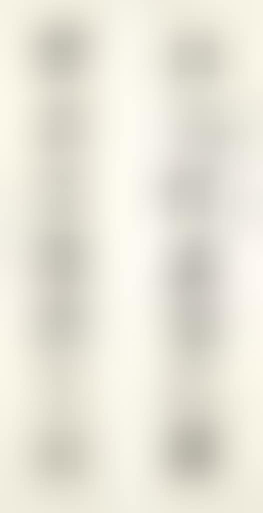 Calligraphic Couplet in Running Script (preview)