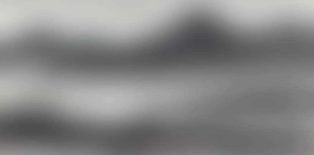Flying Geese over Reeds (preview)