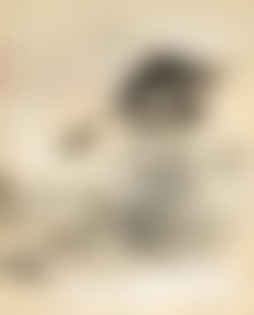 Untitled (preview)