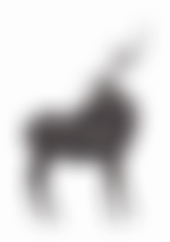 'GRAND WAPITI' (preview)