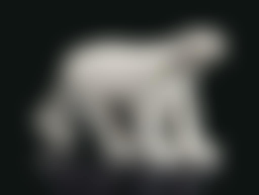 'OURS BLANC' (preview)