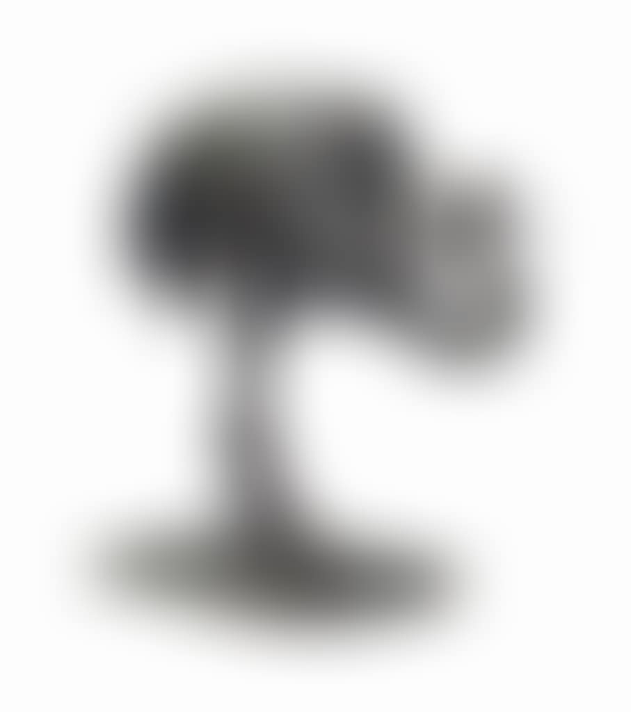 'AUTRUCHE' (preview)