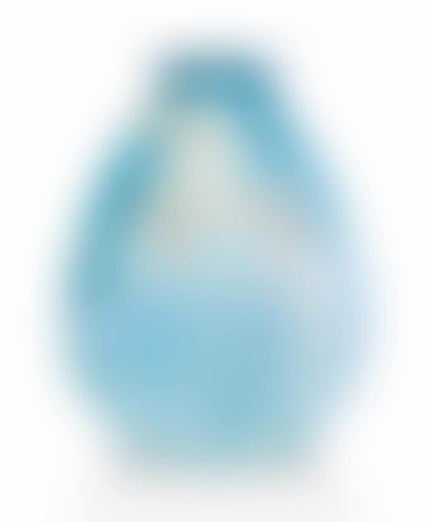 A RARE 'SEAGULL' VASE (preview)