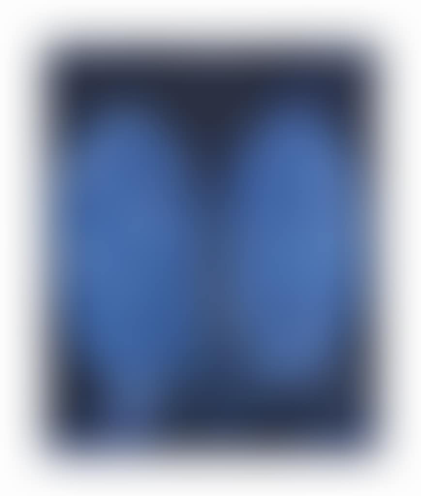 Bleu au double ovale (preview)