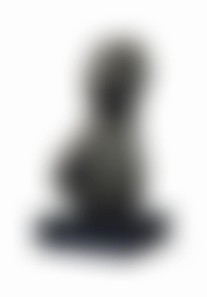Buste aux seins (preview)