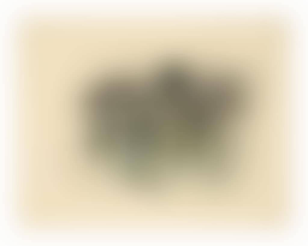 Sans titre (preview)