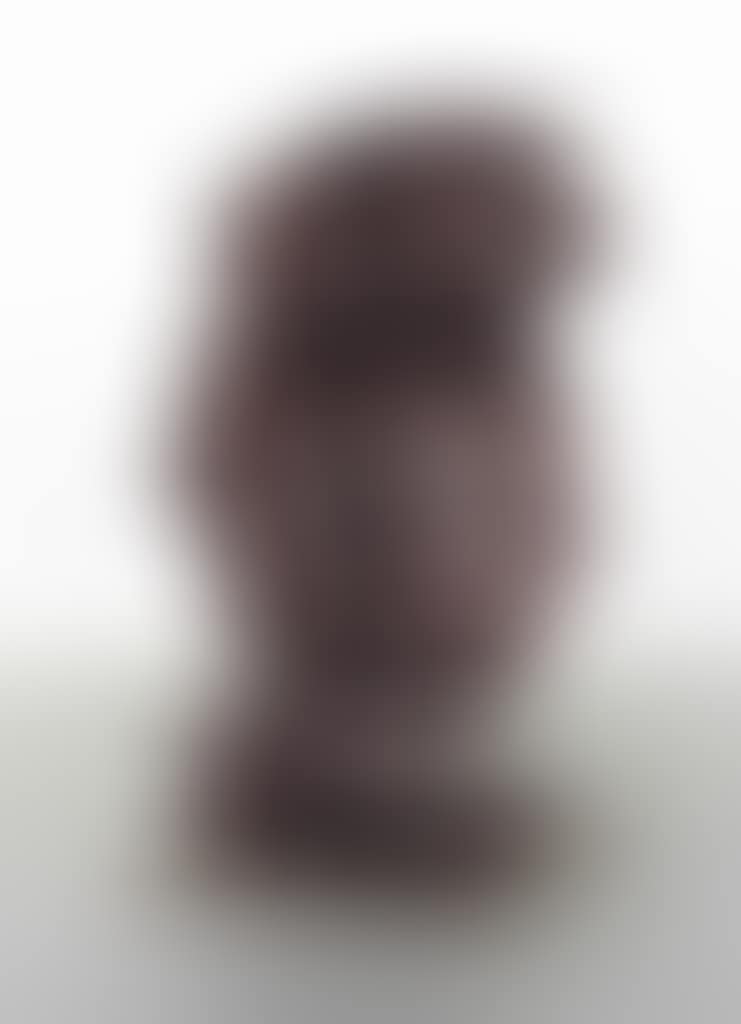 Portrait (preview)