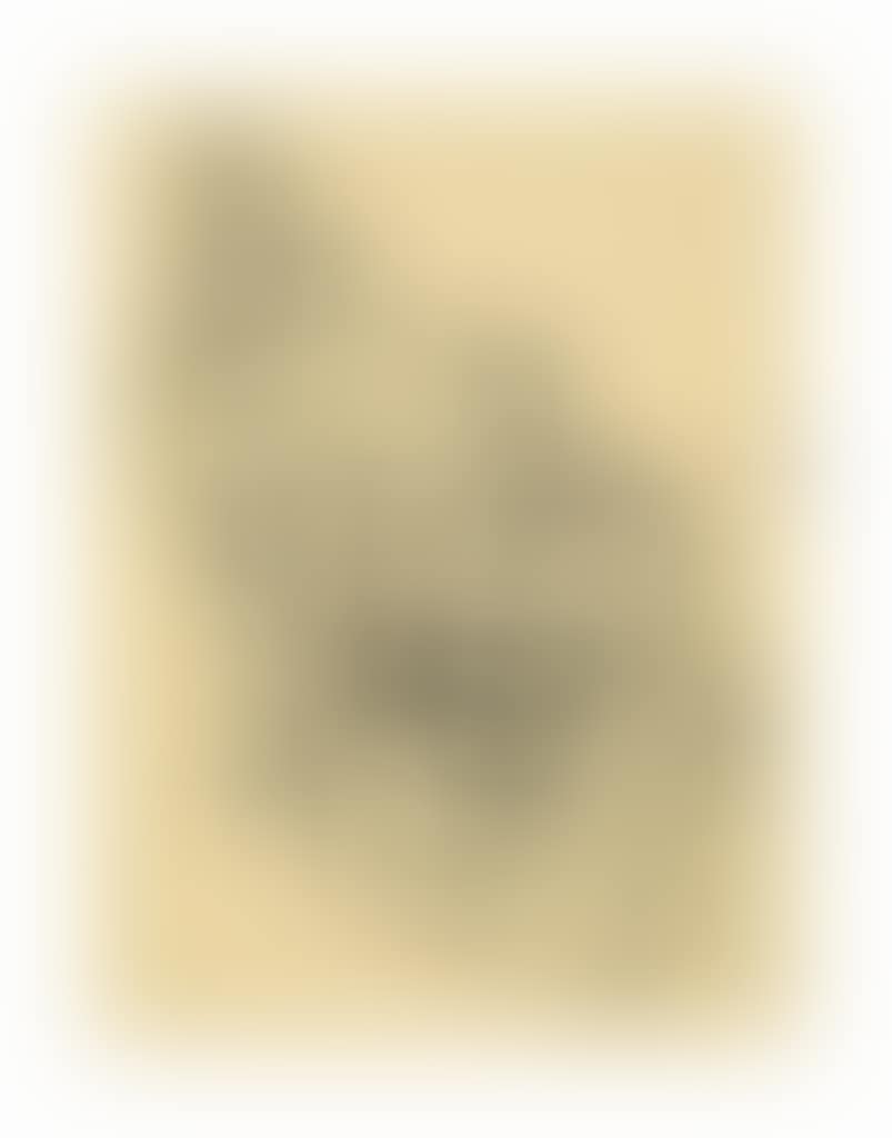 Ohne Titel (preview)