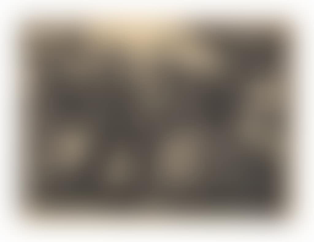 Bowery Nocturne (preview)