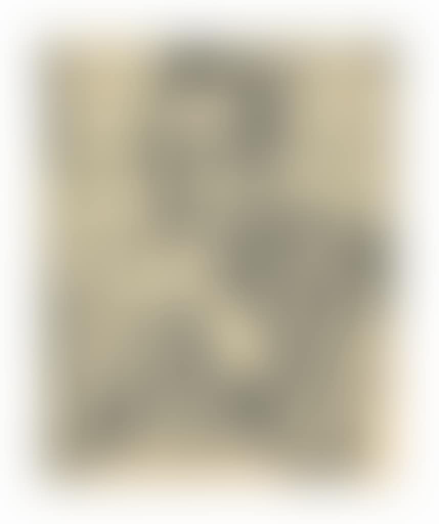 Untitled (Portrait of Husain) (preview)