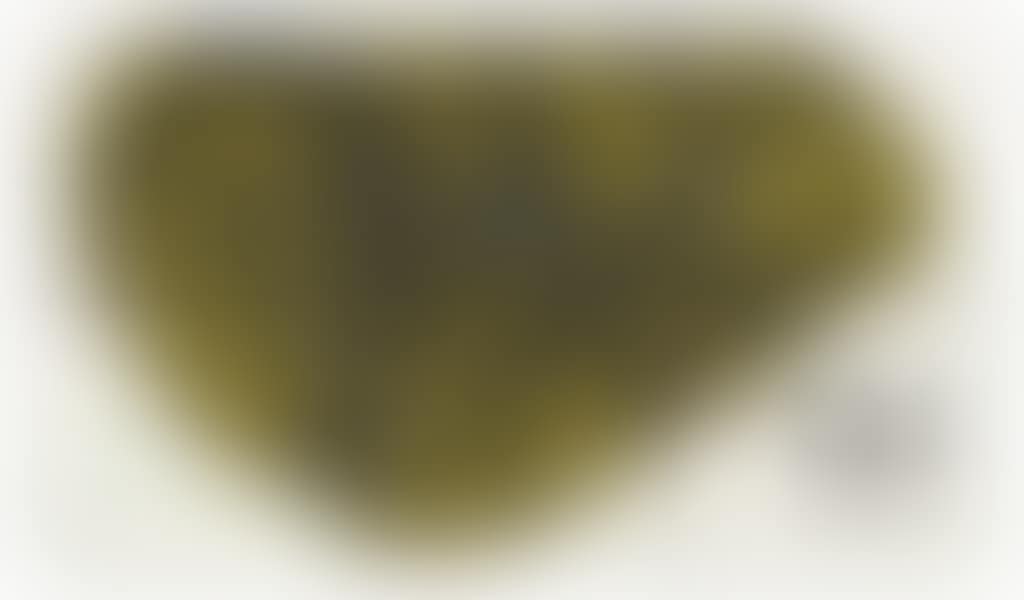 Holy Piss (preview)