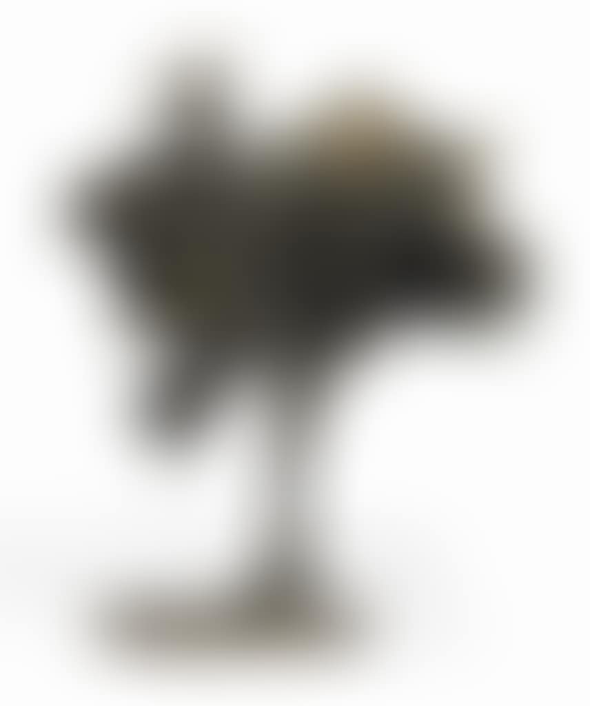 La Poule à Ailettes (The Winged Hen) (preview)