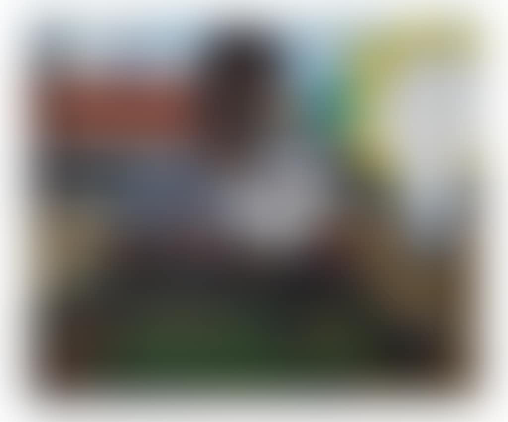 My Brother Gene the Former Tunnel Rat (preview)