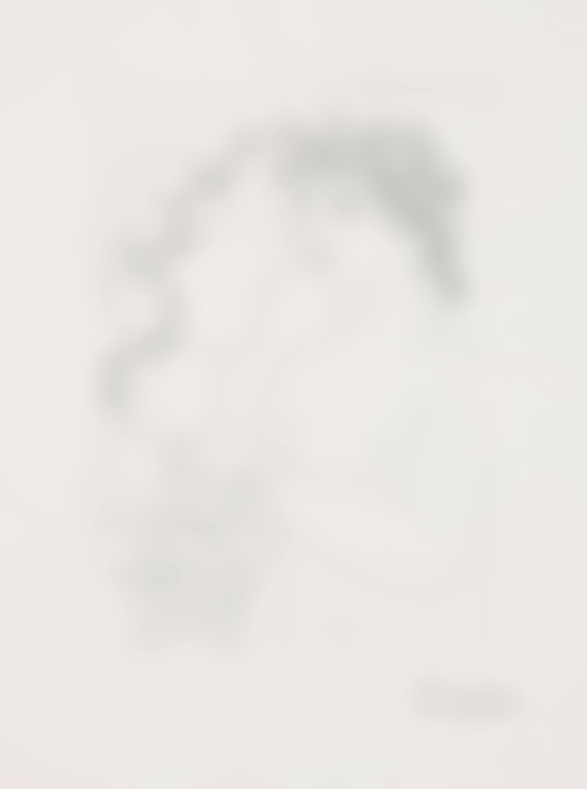 Jeune Scuplteur au Travail, from: La Suite Vollard (preview)