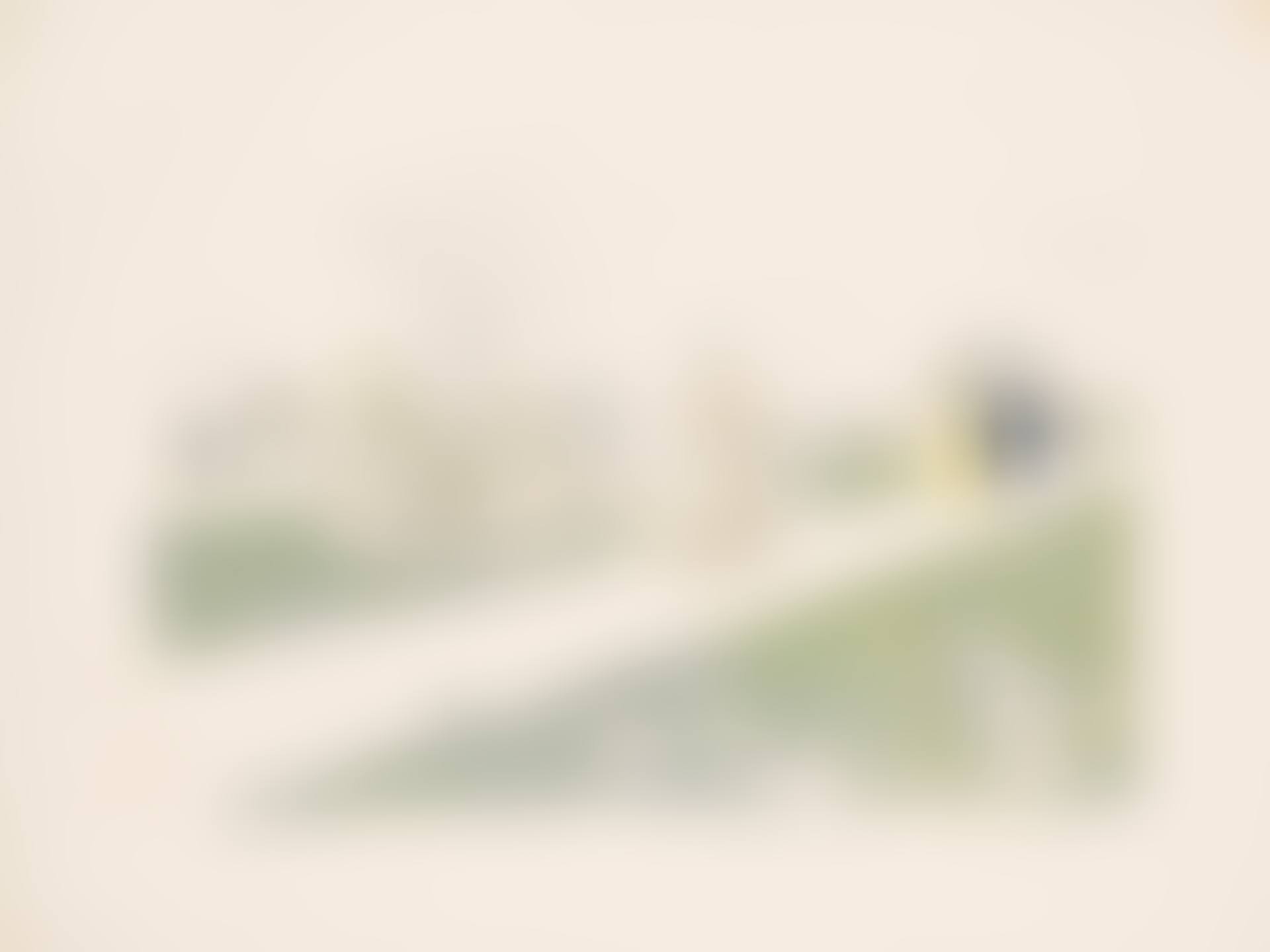 Le Jardin des Tuileries (preview)