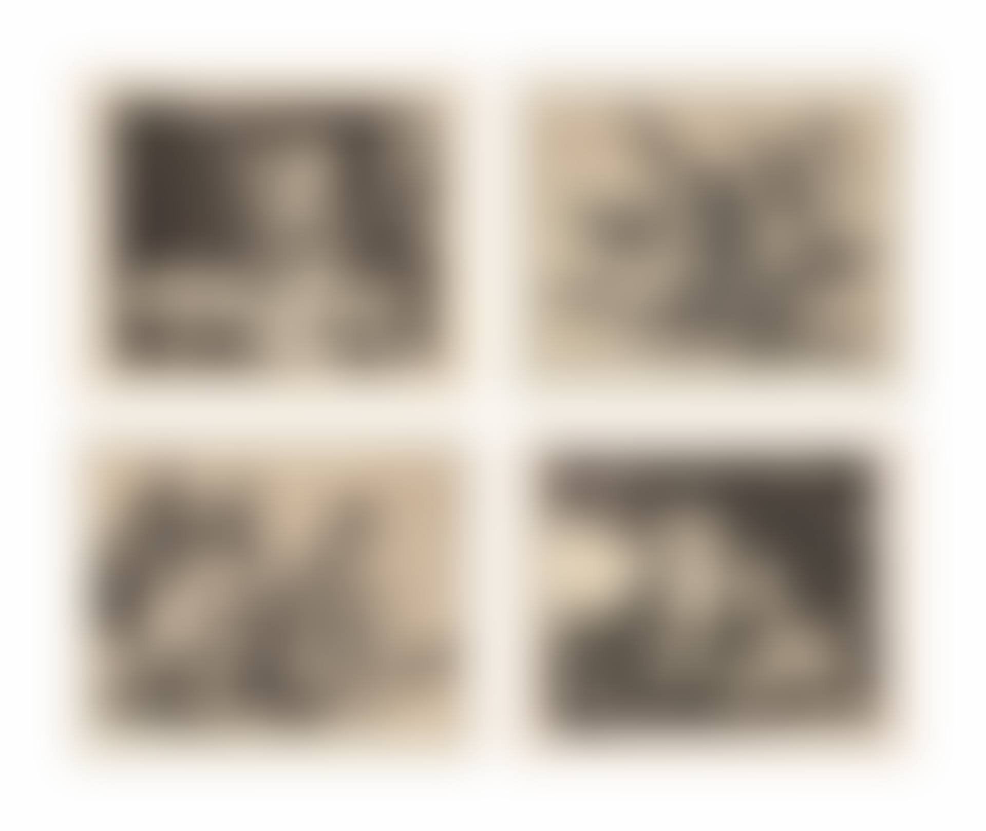 Los Desastres de la Guerra (preview)