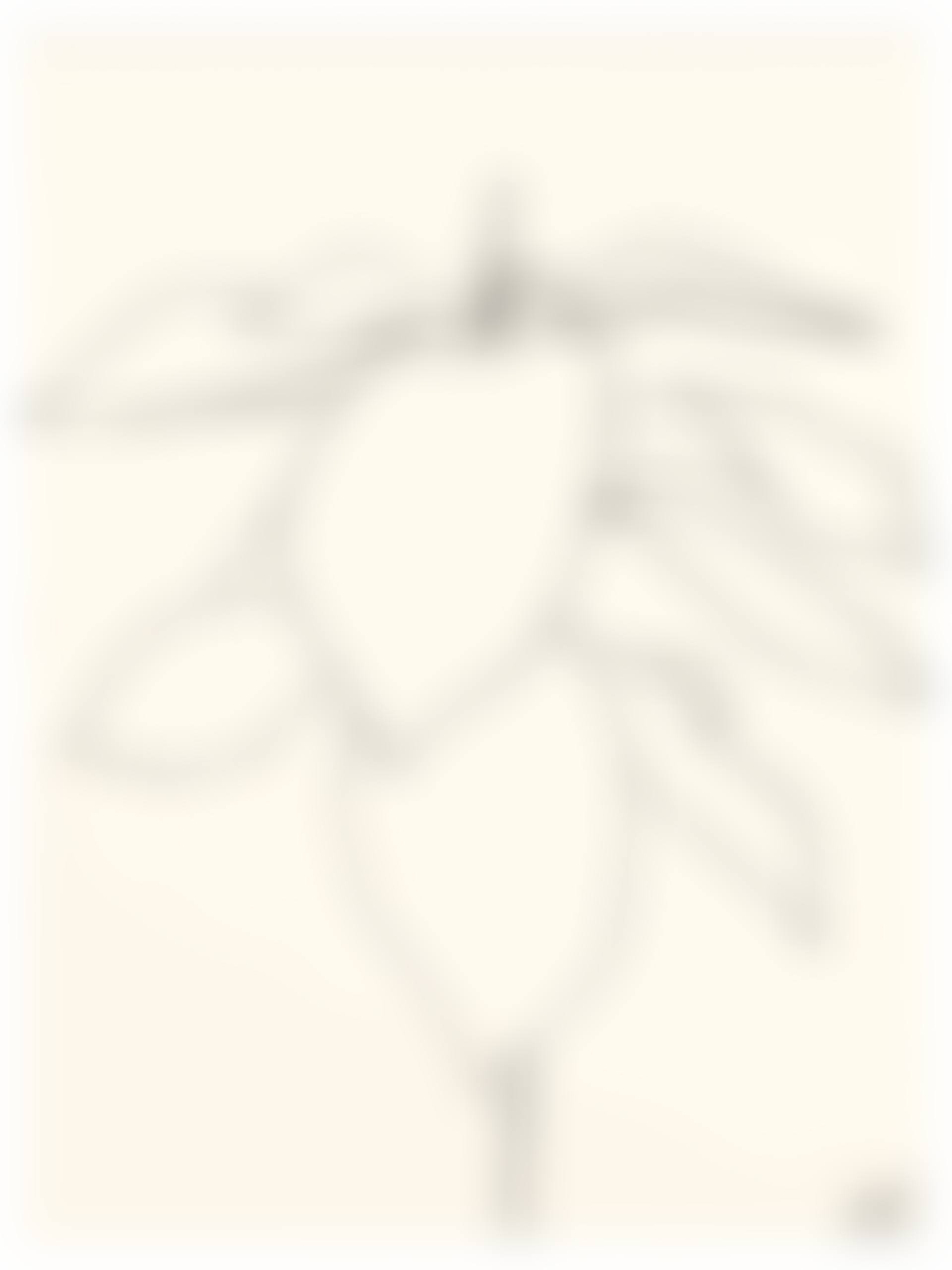Avocado (preview)