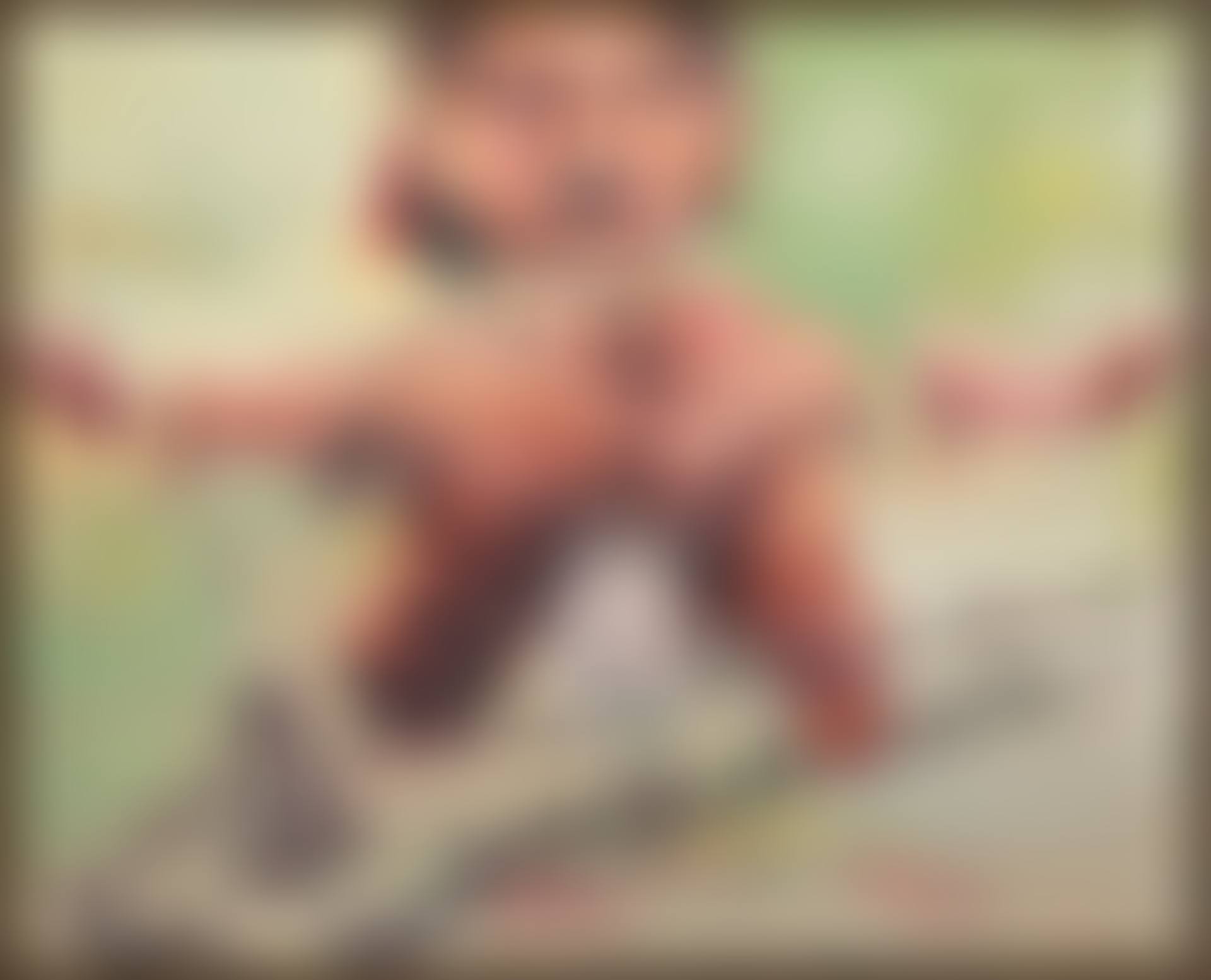 Die Schwalbe (The Swallow) (preview)