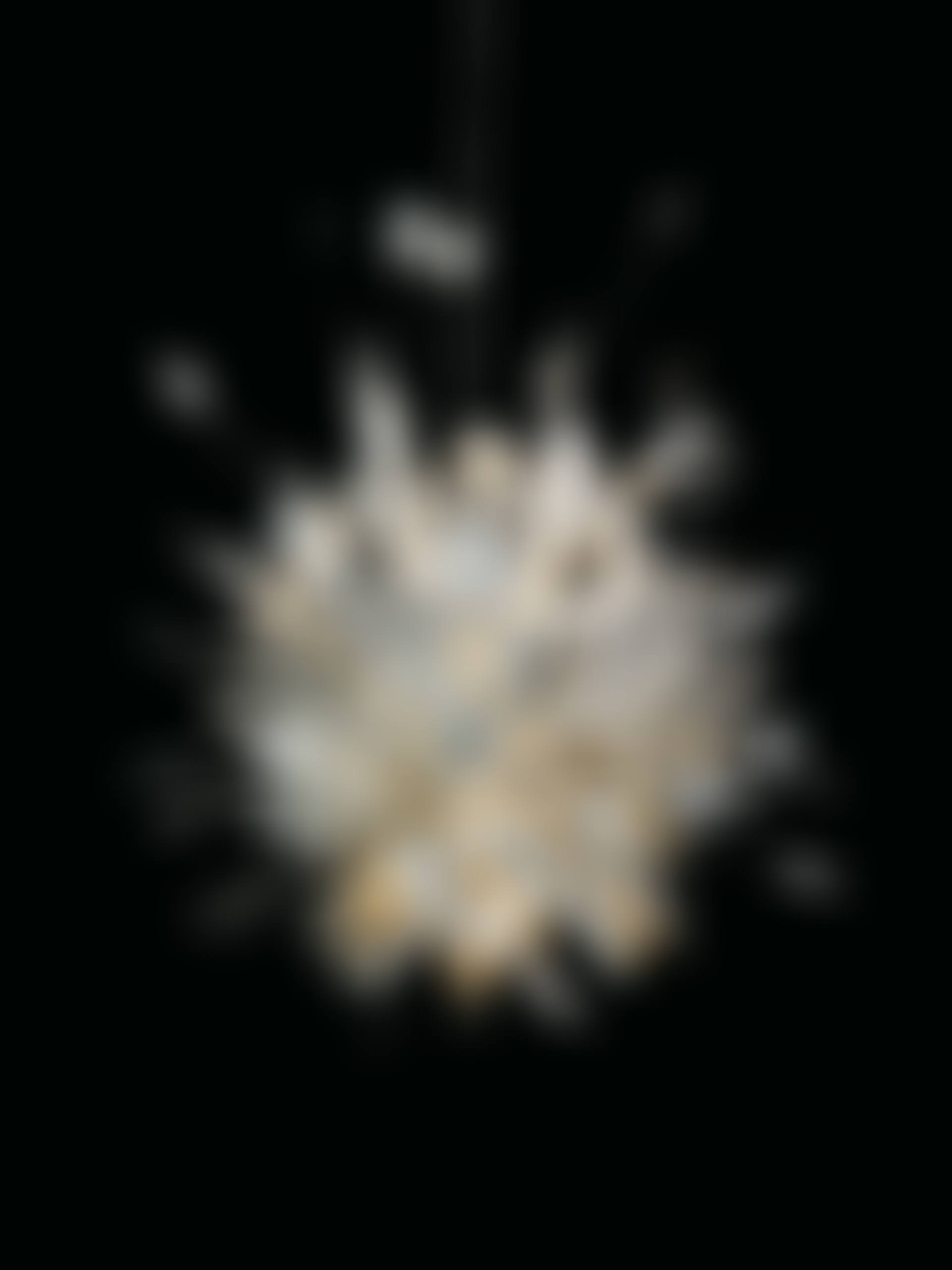 Porca Miseria! [What a Disaster!], A Ceiling Light (preview)