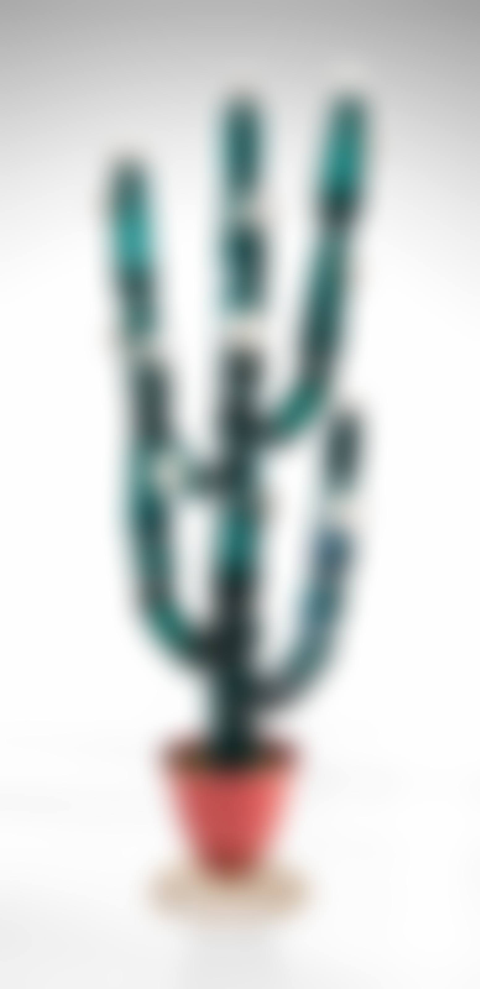 A MONUMENTAL PULEGOSO CACTUS (preview)