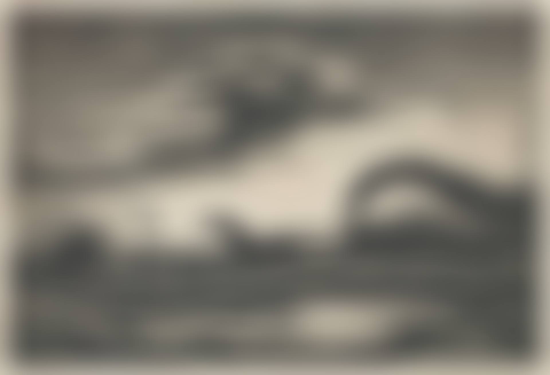 The Race (preview)