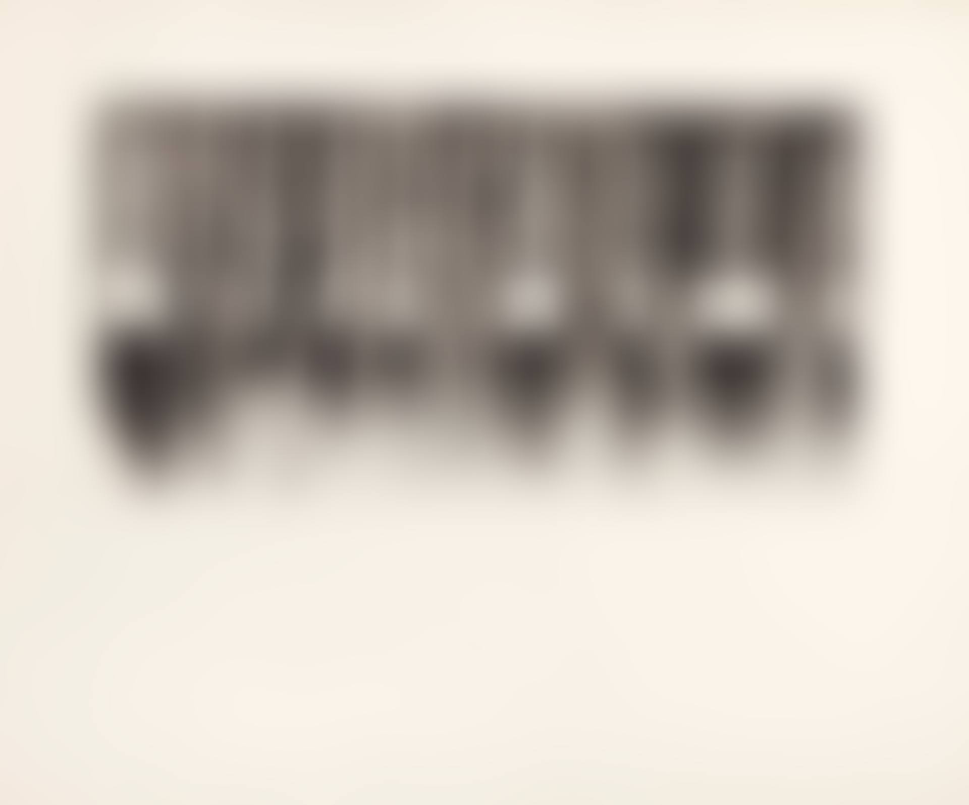 Five Paintbrushes (Fourth State) (preview)