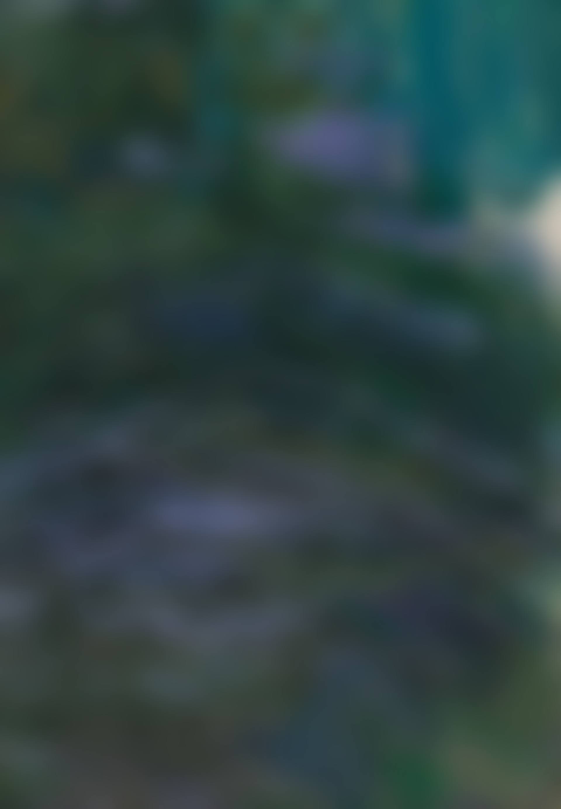 Nymphéas (fragment) (preview)