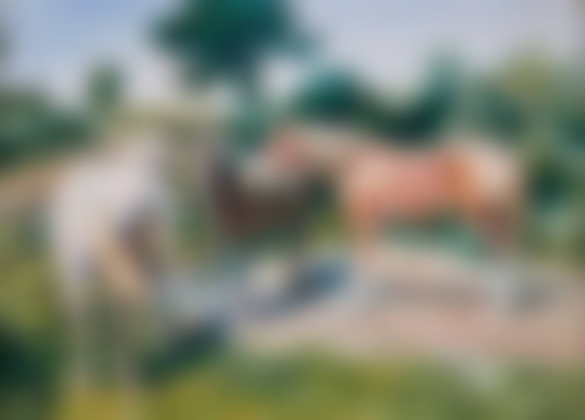 Summer heat (preview)