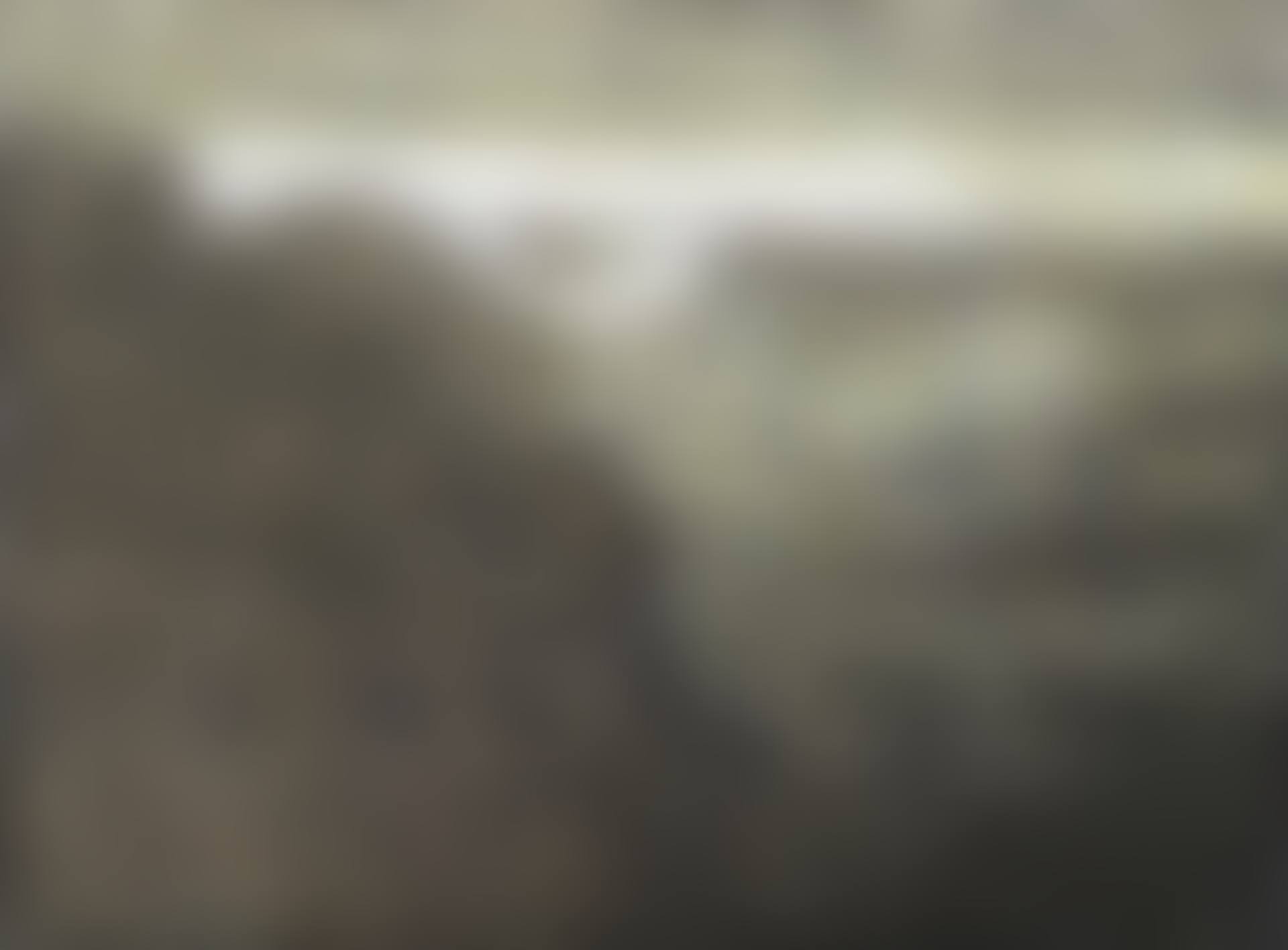 Reeds By the River (preview)