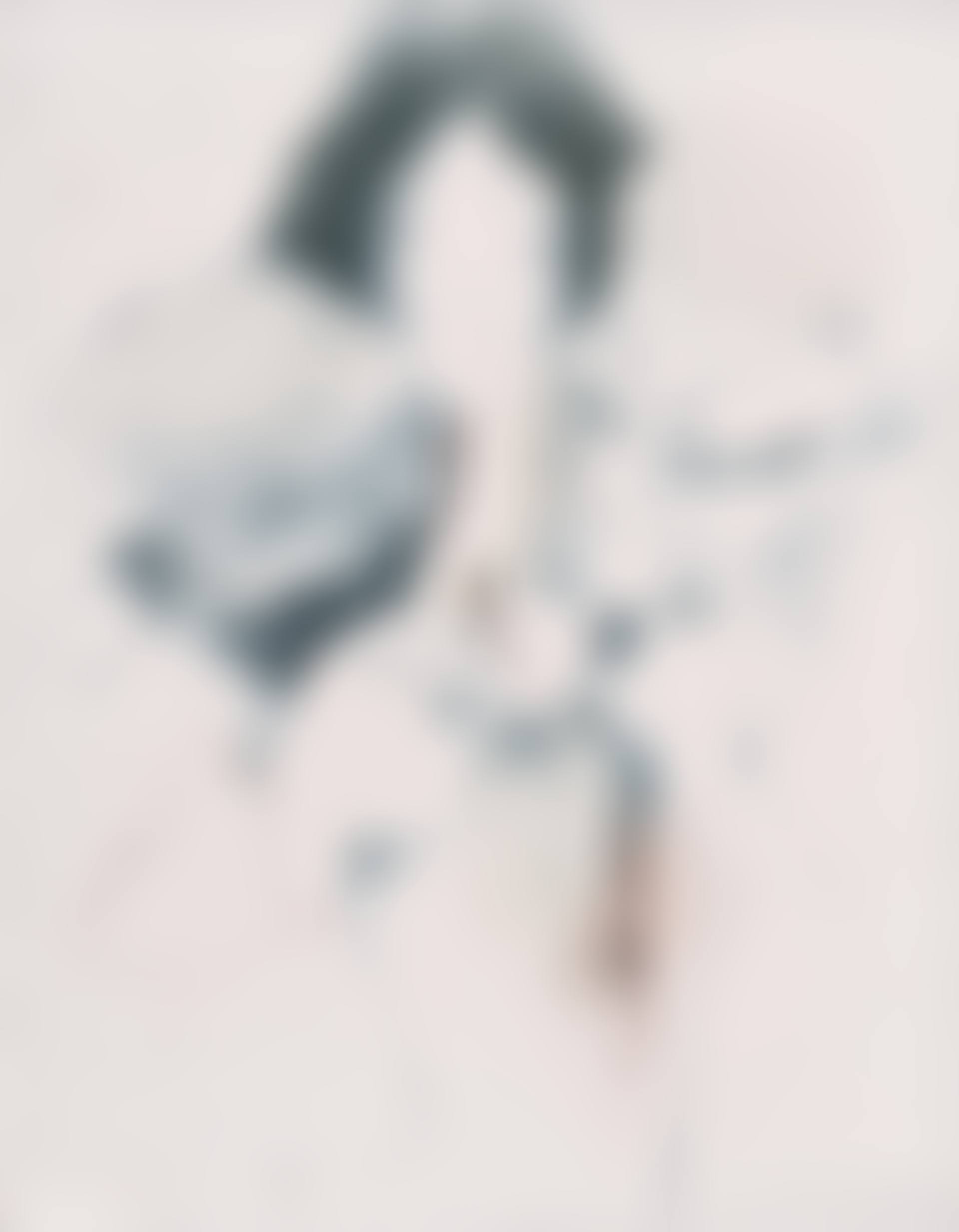 Folgt Uns II (Follow Us II) (preview)