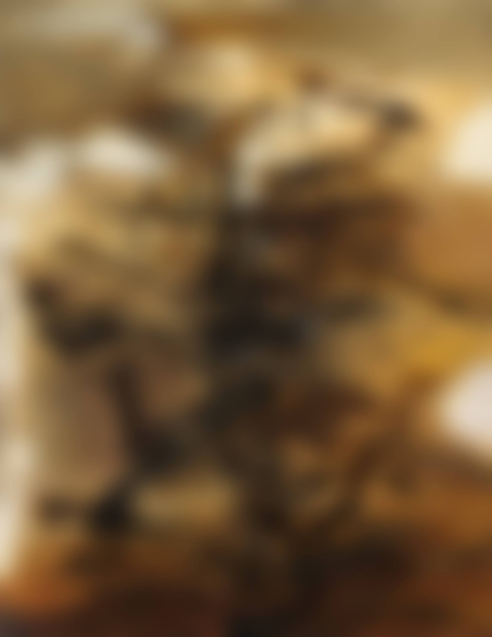 29.01.64 (preview)