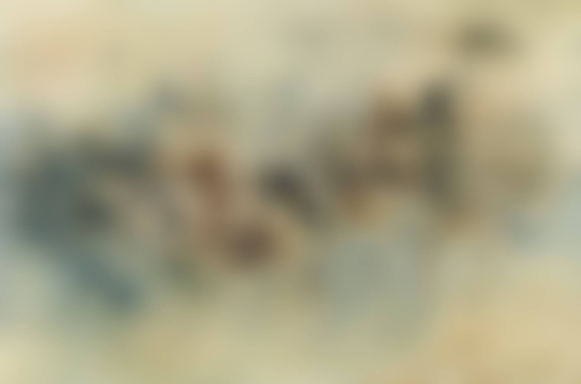 Bocage (preview)