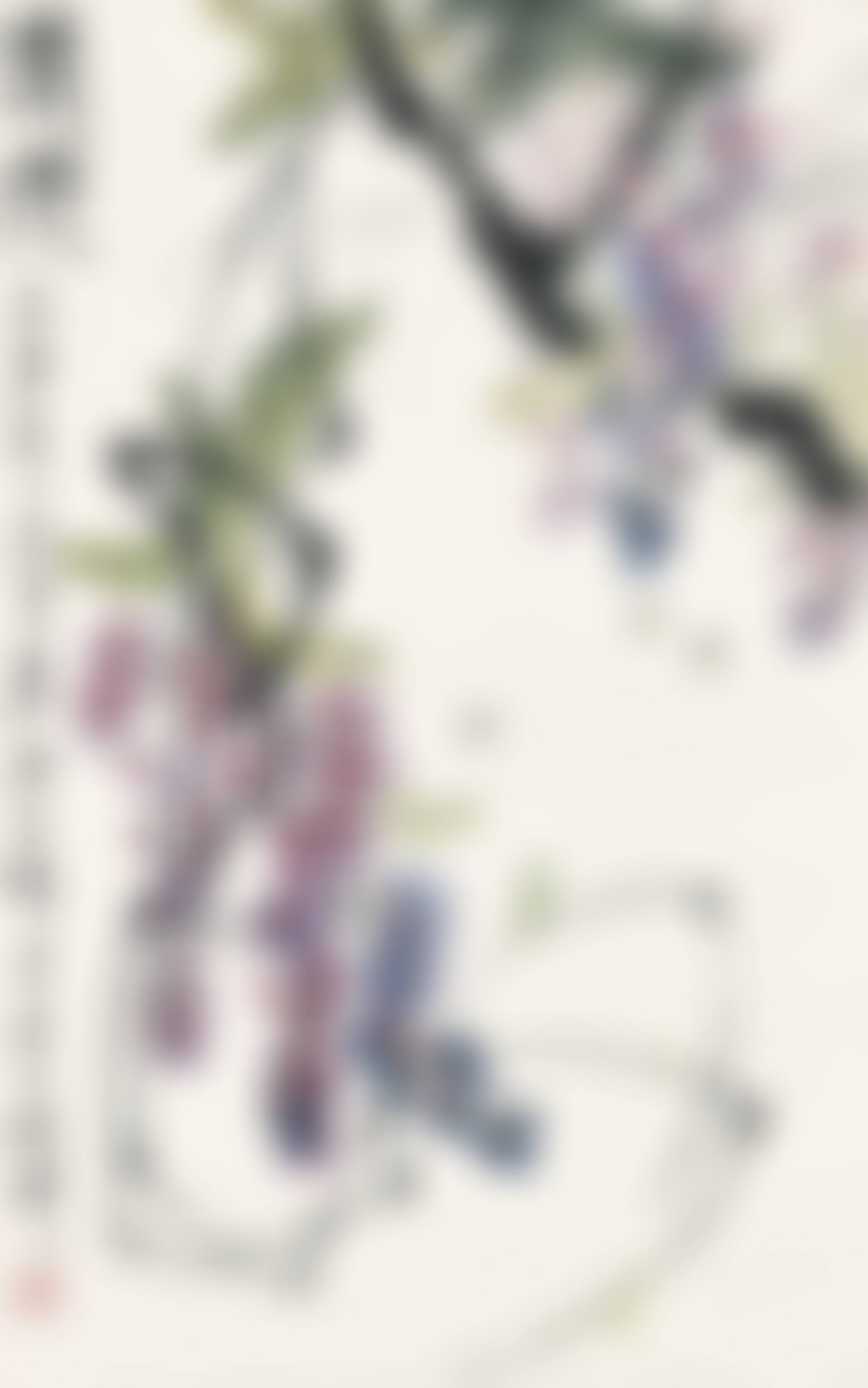 Wisteria (preview)