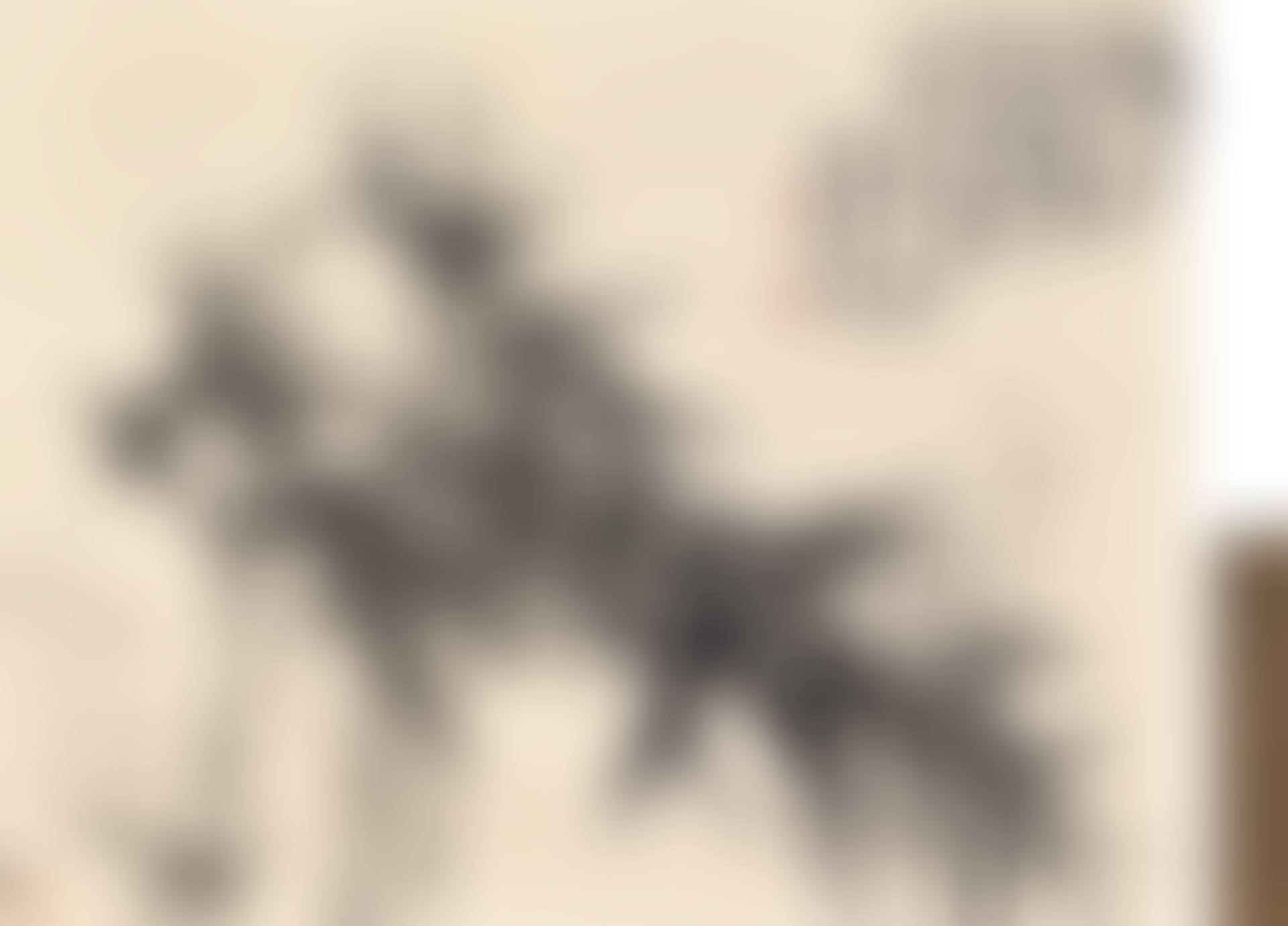 Ink Bamboo (preview)