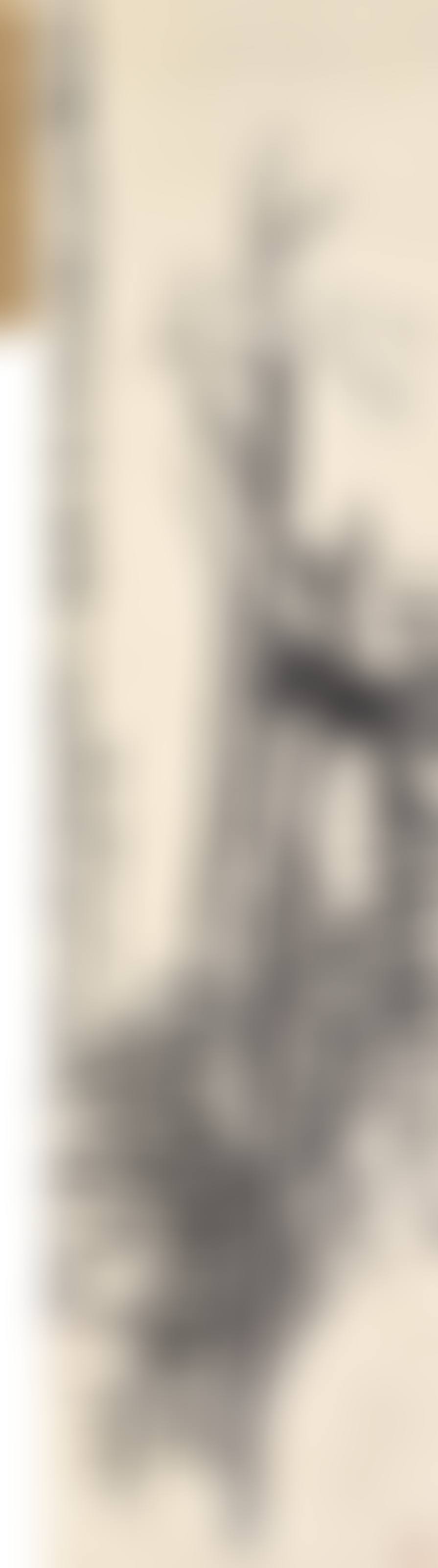 Pine (preview)
