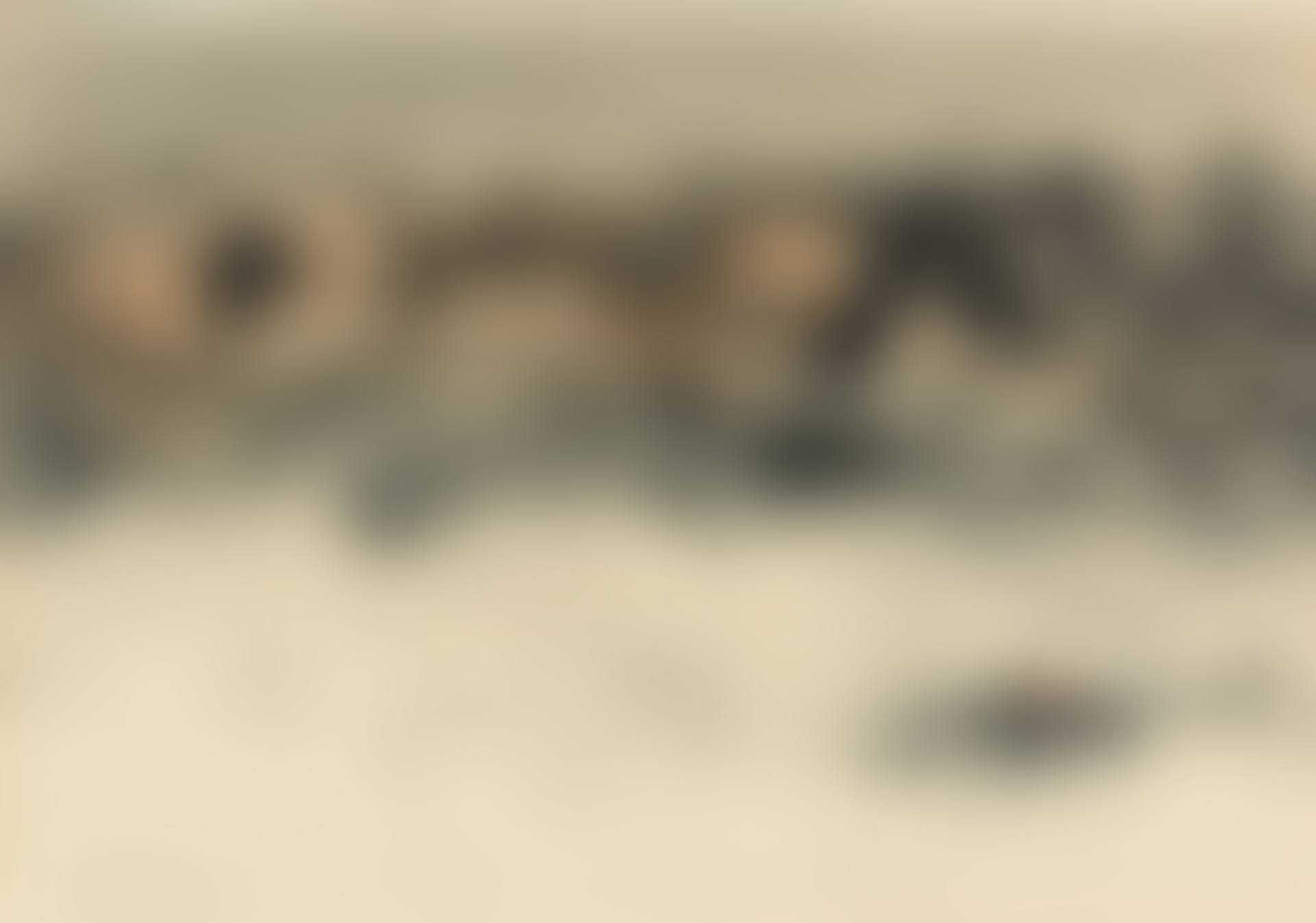Composition No. 206 (preview)
