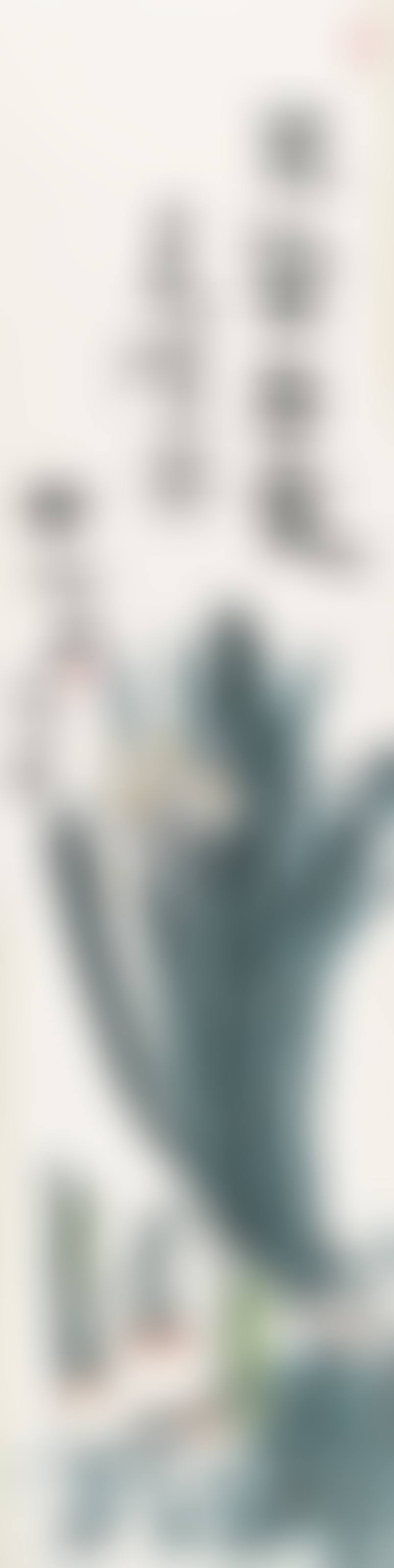 Daffodil (preview)